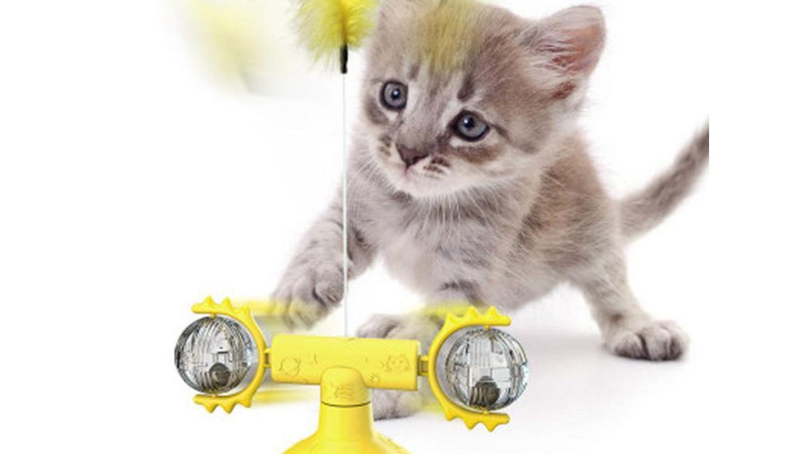 Onde Comprar Brinquedos para Gatos a Bom Preço