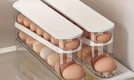 Caixa para Ovos: Onde Comprar com Qualidade e Preço Baixo