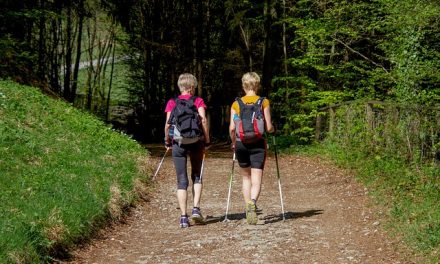 🚶 Melhores Sapatilhas Para Caminhadas Longas: Como Escolher e Onde Comprar