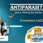 Antiparasitários para Cães: Tipos, Benefícios, Onde Comprar e Como Usar