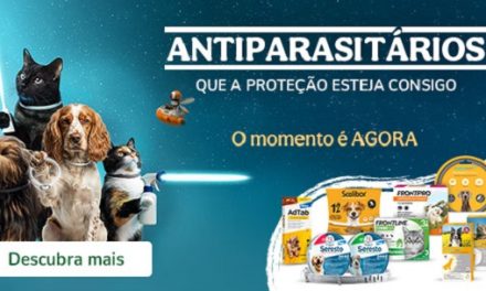 Antiparasitários para Cães: Tipos, Benefícios, Onde Comprar e Como Usar