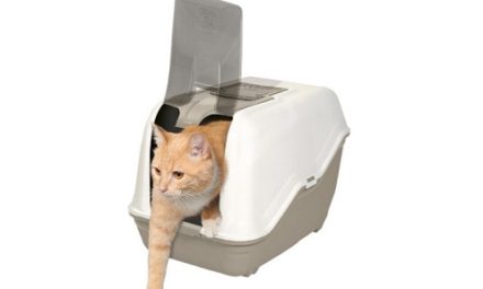 Como escolher uma caixa de areia fechada para gato