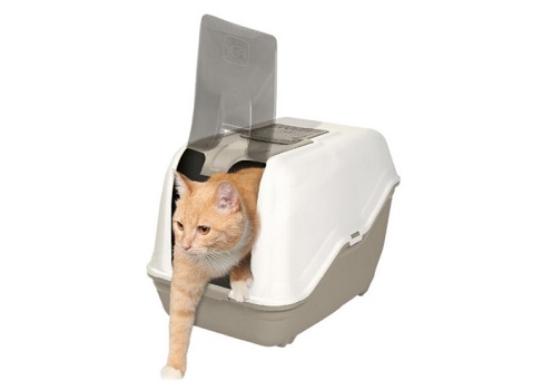 Como escolher uma caixa de areia fechada para gato