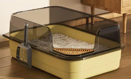 Caixa de areia XXL para gatos: mais conforto e menos sujidade