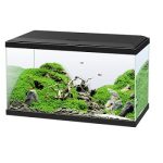 Melhor site para comprar aquário
