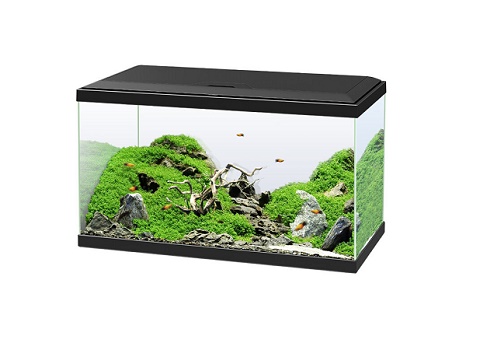 Melhor site para comprar aquário
